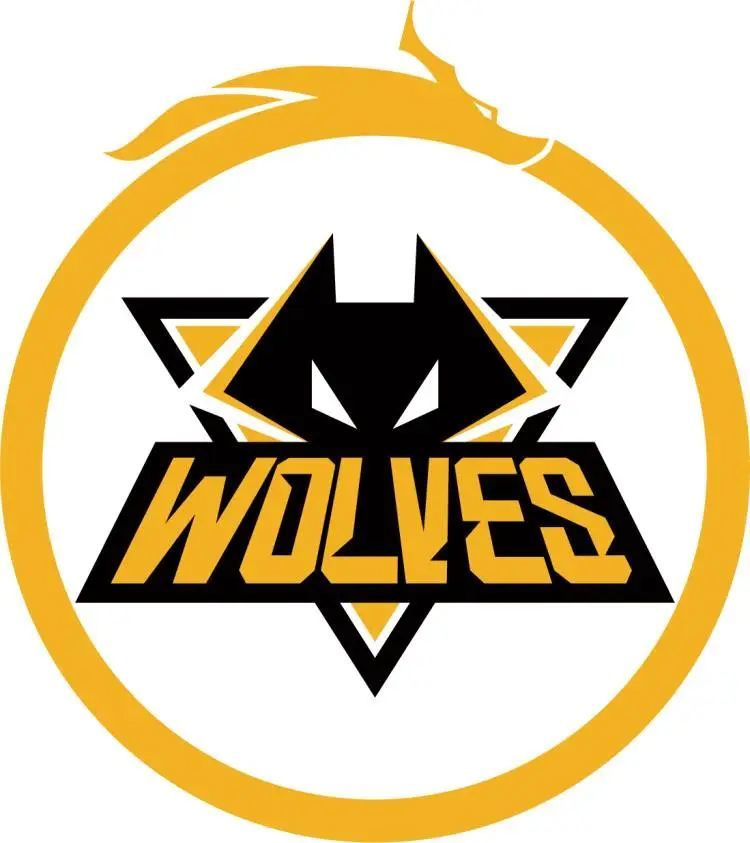 huNter-：我很幸运能遇到 SAW 作为IGL。 Donk 并不是Team Spirit的全部